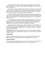 Diplomdarbs 'Metiena pāri augšstilbam tehnikas pilnveide 10-12 gadus veciem zēniem grieķu rom', 16.