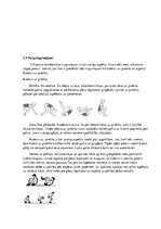 Diplomdarbs 'Metiena pāri augšstilbam tehnikas pilnveide 10-12 gadus veciem zēniem grieķu rom', 18.