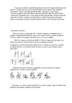 Diplomdarbs 'Metiena pāri augšstilbam tehnikas pilnveide 10-12 gadus veciem zēniem grieķu rom', 20.