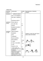 Diplomdarbs 'Metiena pāri augšstilbam tehnikas pilnveide 10-12 gadus veciem zēniem grieķu rom', 39.