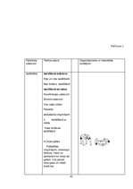 Diplomdarbs 'Metiena pāri augšstilbam tehnikas pilnveide 10-12 gadus veciem zēniem grieķu rom', 43.