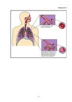 Referāts 'Bērnu vecāku zināšanas par inhalatoru lietošanu bronhiālās astmas gadījumā', 37.
