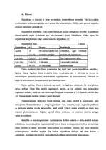 Referāts 'Konservanti gaļas produktos, to izvērtējums', 9.