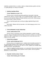 Konspekts 'E.H.Eriksona psihosociālā un Z.Freida psihoseksuālā  attīstības koncepcija', 4.