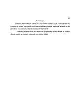 Referāts 'Kristietības attīstība Latvijā', 24.