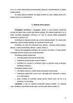 Diplomdarbs 'Sociālo prasmju attīstība 1.-4.klasēs', 33.