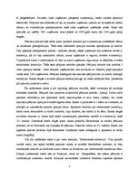 Referāts 'Zinātnisko rakstu analīze', 5.