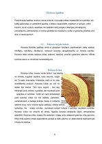 Konspekts 'Koks, tā īpašības, uzglabāšana un pārvadāšana', 6.