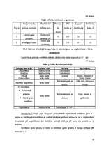 Biznesa plāns 'Kafejnīcas tehnoloģiskais projekts', 29.