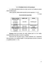 Biznesa plāns 'Kafejnīcas tehnoloģiskais projekts', 41.