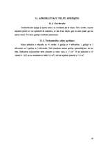 Biznesa plāns 'Kafejnīcas tehnoloģiskais projekts', 66.