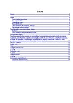 Referāts 'Uzņēmuma "Tele2" stratēģija cenu piemērošanai tirgum', 2.