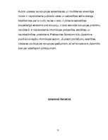 Referāts 'Korupcijas faktora ietekme policijas darbā', 13.