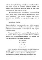 Konspekts 'Aspazijas dzejoļu krājumi "Sarkanās puķes", "Saulainais stūrītis"', 4.