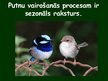 Prezentācija 'Putnu vairošanās', 2.