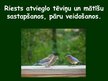 Prezentācija 'Putnu vairošanās', 5.