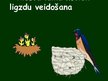 Prezentācija 'Putnu vairošanās', 12.