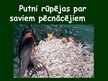 Prezentācija 'Putnu vairošanās', 20.