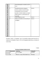 Diplomdarbs 'Partnera atbalsts grūtniecības un dzemdību laikā', 31.