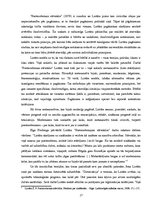 Referāts 'Postmodernā uztvere - 21.gadsimta liecība', 17.