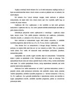 Referāts 'Tiešo konkurentu noteikšana uzņēmumam SIA "Rimi Latvia" un metodes cīņā ar tiem', 21.