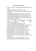 Referāts 'Tiešo konkurentu noteikšana uzņēmumam SIA "Rimi Latvia" un metodes cīņā ar tiem', 24.