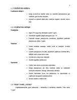 Referāts 'Viesu nama “Ozols“ izveide', 8.