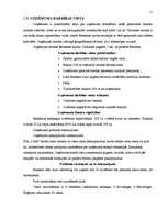 Referāts 'Viesu nama “Ozols“ izveide', 11.