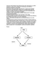 Konspekts 'Cilvēka endokrīnā sistēma', 3.