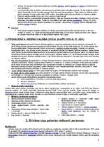 Konspekts 'Latvija no 1918.gada līdz 1940.gada jūnijam', 2.