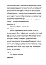 Konspekts 'Kolokvija kļūdu labojums', 9.