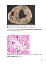 Konspekts 'Kolokvija kļūdu labojums', 20.
