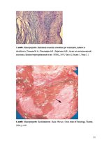 Konspekts 'Kolokvija kļūdu labojums', 21.