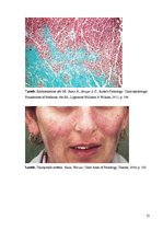 Konspekts 'Kolokvija kļūdu labojums', 22.