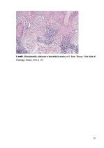 Konspekts 'Kolokvija kļūdu labojums', 23.