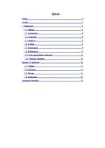 Referāts 'Renesanses un 17.gadsimta kultūra', 2.