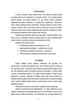 Referāts 'Renesanses un 17.gadsimta kultūra', 4.