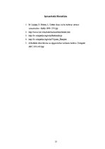 Referāts 'Renesanses un 17.gadsimta kultūra', 13.