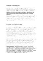 Prezentācija 'Kognitīvās psiholoģijas skola', 12.