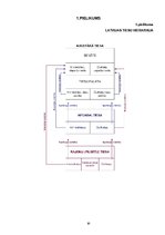 Referāts 'Tiesu varas institūcijas un to amatpersonu statuss valsts tiesiskajā mehānismā', 20.