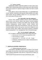 Biznesa plāns 'Biznesa plāns par izklaides pasākumu organizēšanu', 7.