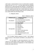 Biznesa plāns 'Biznesa plāns par izklaides pasākumu organizēšanu', 8.