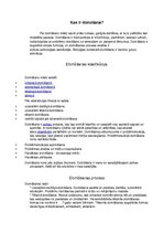 Referāts 'Domu spēks', 3.