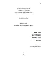 Paraugs 'Laulības līgums par mantas šķirtību', 1.