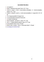 Referāts 'Basketbols Lavijā', 28.