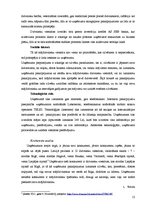 Biznesa plāns 'Biznesa plāns dzīvnieku viesnīcai', 12.