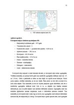 Diplomdarbs 'Nekustamo īpašumu vērtēšanas metožu pilnveidošanas ekonomiskais pamatojums apdro', 32.