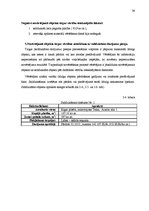 Diplomdarbs 'Nekustamo īpašumu vērtēšanas metožu pilnveidošanas ekonomiskais pamatojums apdro', 39.