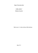 Referāts 'Referāts par Alberta Bela romānu "Būris"', 1.