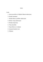 Referāts 'Referāts par Alberta Bela romānu "Būris"', 2.